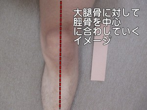 大腿骨に対して脛骨を中心に合わしていくイメージ