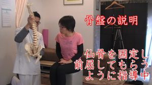 骨盤説明。まずは骨盤に関節がある（仙腸関節）のを知ってもらい、仙骨という骨の動きをつけるために前屈動作してもらうように説明していきます。
