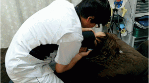 肩甲骨はがしで抱え上げる