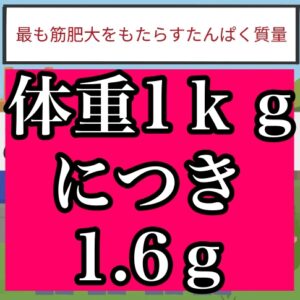 蛋白質の必要な量は体重１ｋｇあたり約1.6グラム